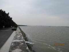 -大湾区中央湿地公园