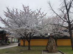 -三国水浒景区(无锡影视基地)