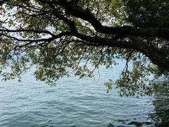 -抚仙湖禄充风景区