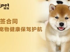-翊宠yipet猫狗购宠庄园犬舍•猫舍