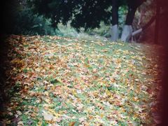 -浙江大学医学院附属第二医院(解放路院区)