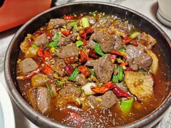 -树厨贵州菜(大十字店)