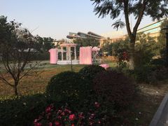 -西江印象酒楼