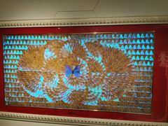 -上海昆虫博物馆