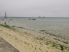 -北海金海湾红树林生态旅游区