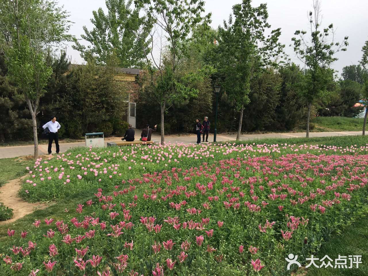 補發曾經的遊記北京國際鮮花港