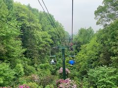 -岳麓山风景名胜区