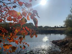 -盘龙城国家考古遗址公园