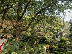 -杭州半山国家森林公园