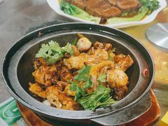 -东鸽皇(奥园·中环广场店)
