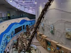 -陕西自然博物馆