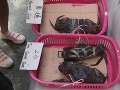 -龙海鲜螃蟹王(宏茂桥店)