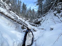 -峡谷浮石林景区