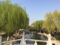 -西安青龙寺遗址景区