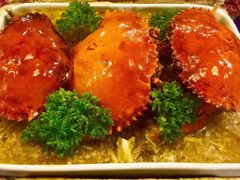 -茉莉.Red Crab