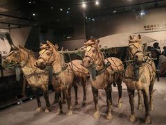 -秦始皇帝陵博物院-丽山园