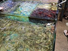 -87号烧烤海鲜·大排档(金沙滩店)