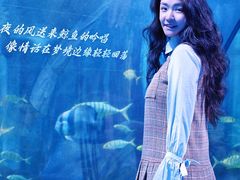 -重庆欢乐海底世界