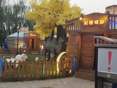 包房-大汗行宫园林餐厅