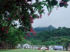 -南丹山森林王国