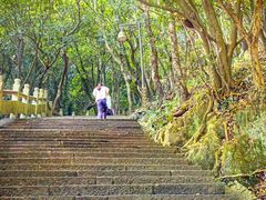-普陀山风景区-佛顶山