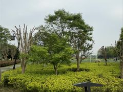 -径山花海