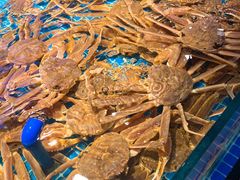 -驻海渔市(置信店)