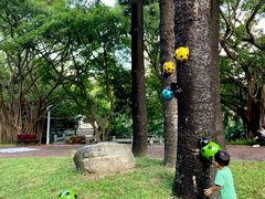 -人民公园(罗湖区)