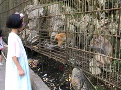 -阿依河景区