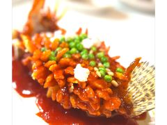 松鼠桂鱼-玫瑰厅上海菜(兴国路店)