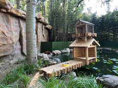 -北京野生动物园