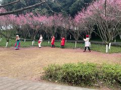-重庆彩云湖湿地公园
