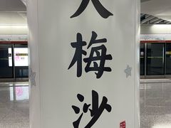 -大梅沙海滨公园