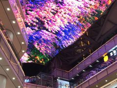 -造精酿餐厅