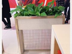 -DQ·蛋糕·冰淇淋(金桥店)