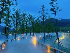 -千年银杏谷文化旅游区