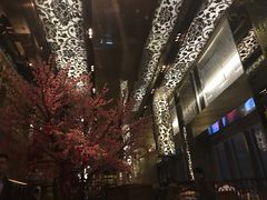 -金轩中餐厅 Jin Xuan(浦东丽思卡尔顿酒店)