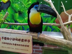 -齐齐哈尔龙沙动植物园