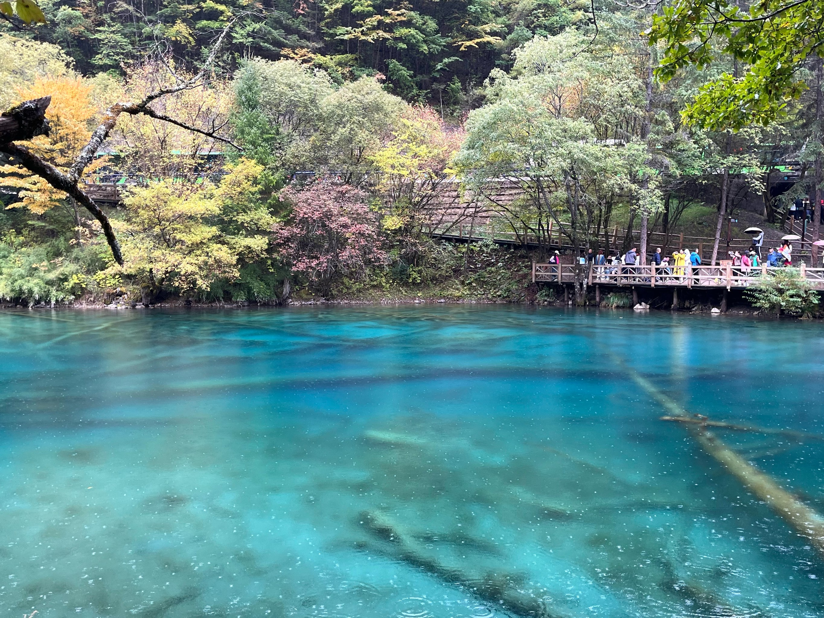 九寨沟风景照 真实图片