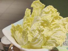 -春润大地海南椰子鸡(沙井京基百纳广场店)