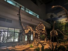 -自贡恐龙博物馆