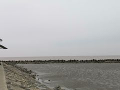 -南汇嘴观海公园