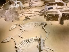 -洛阳周王城天子驾六博物馆