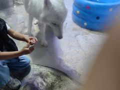 -正佳雨林生态植物园