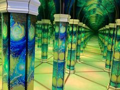 -天津梵高星空艺术馆(天河城旗舰店)