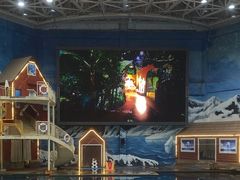 -西安曲江海洋极地公园