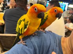 -叒缘夜光杯(望江橡树林店)
