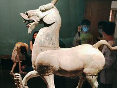 -广西壮族自治区博物馆