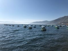 -抚仙湖禄充风景区