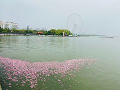 -无锡蠡湖国家湿地公园-蠡园